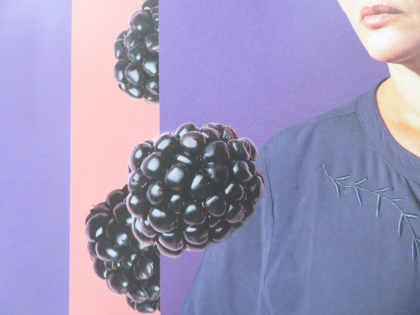 BLACKBIRD BLACKBIRD BLACKBERRY UK QUAD ROLLED POSTER EKA CHAVLEISHVILI 2023 Rendezvous Cinema Movie posters