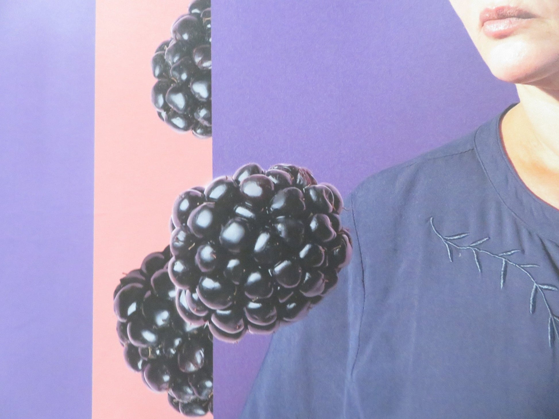 BLACKBIRD BLACKBIRD BLACKBERRY UK QUAD ROLLED POSTER EKA CHAVLEISHVILI 2023 Rendezvous Cinema Movie posters