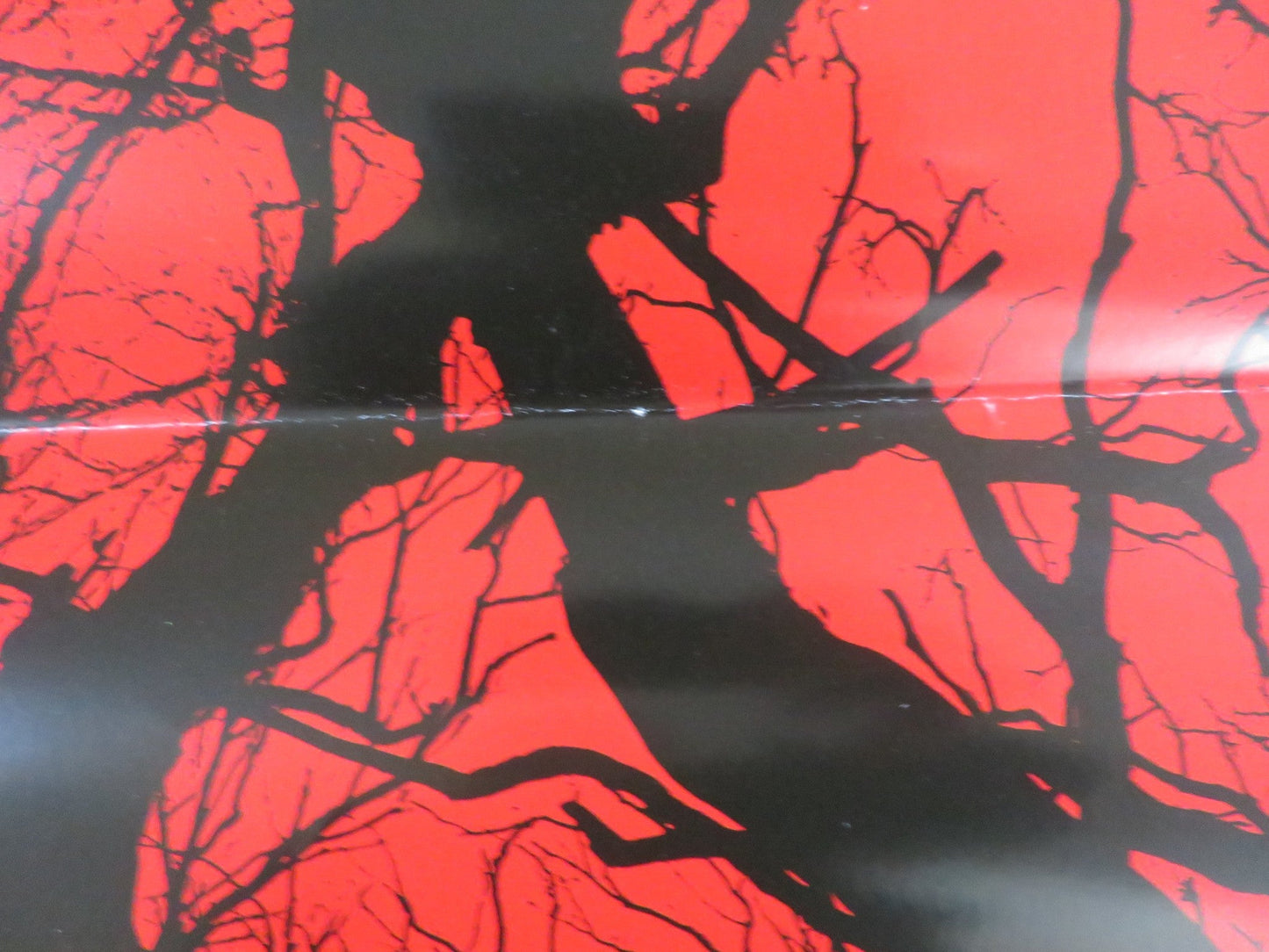 BLAIR WITCH ITALIAN LOCANDINA POSTER JAMES ALLEN MCCUNE CALLIE HERNANDEZ 2016 Rendezvous Cinema Movie posters