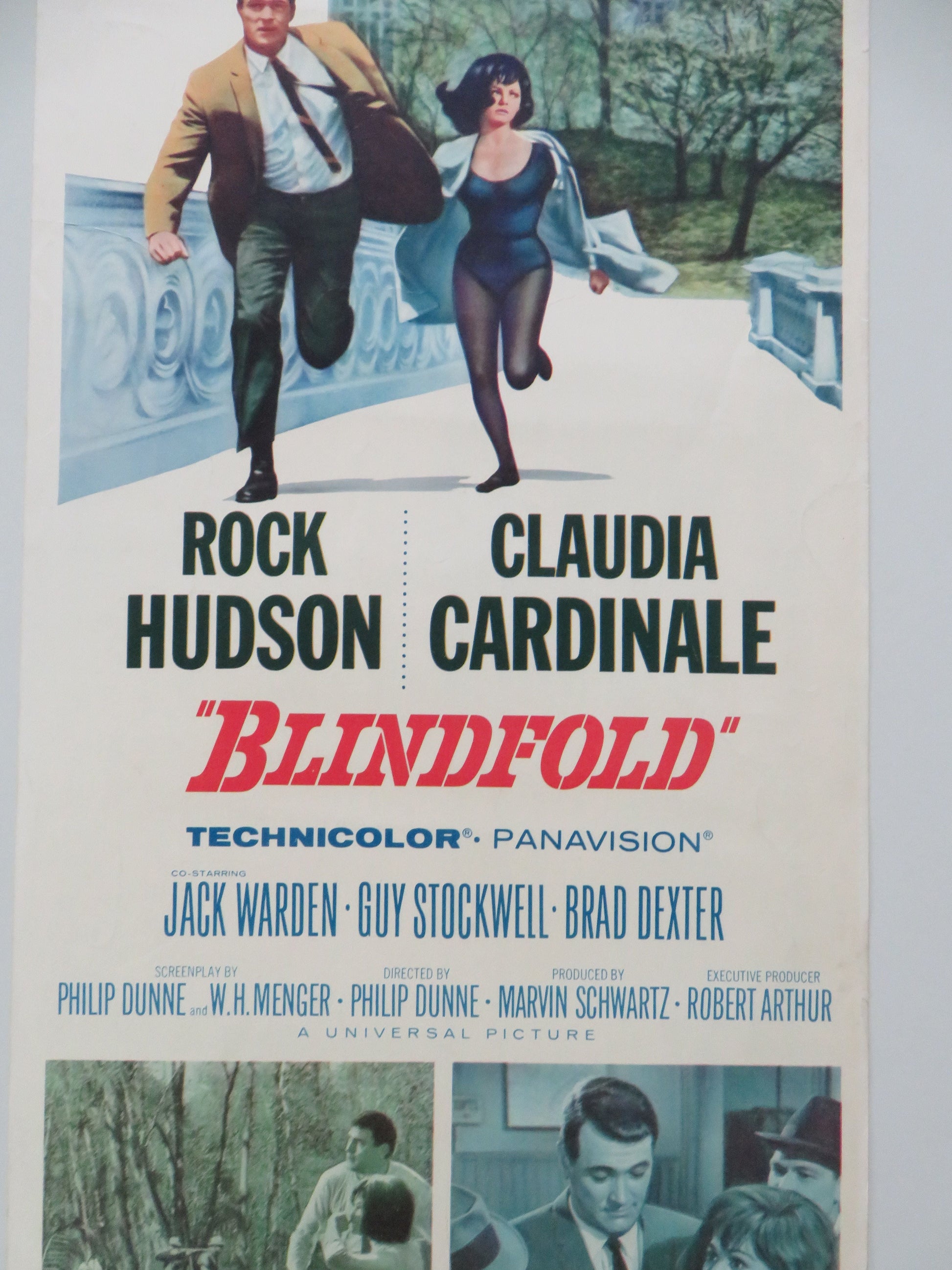 Blindfold US Insert Poster Rock Hudson Claudia Cardinale 1966 Movie posters