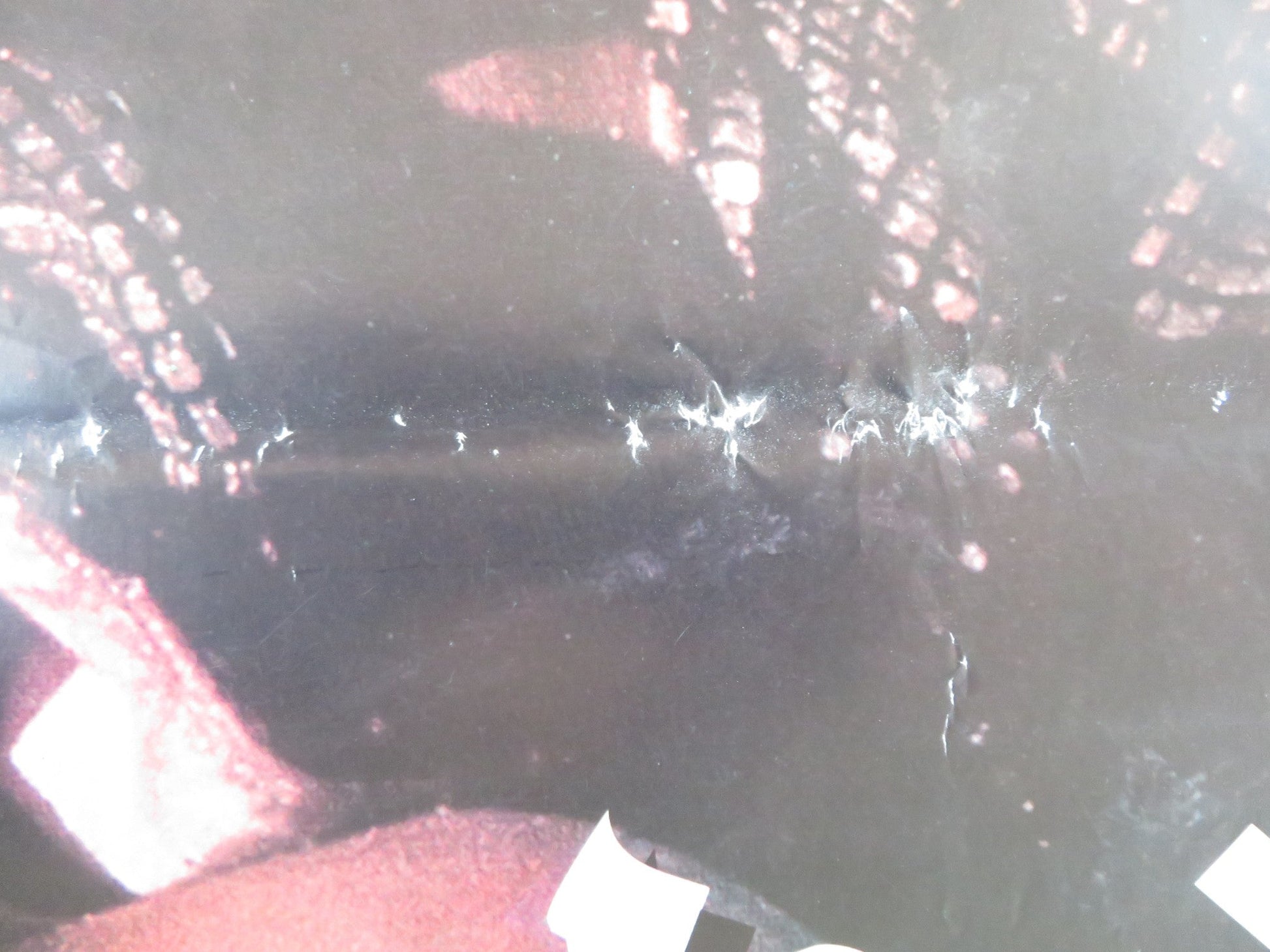 BLOODSPORT EGYPTIAN POSTER ROLLED CANNON JEAN - CLAUDE VAN DAMME 1988 Rendezvous Cinema Movie posters