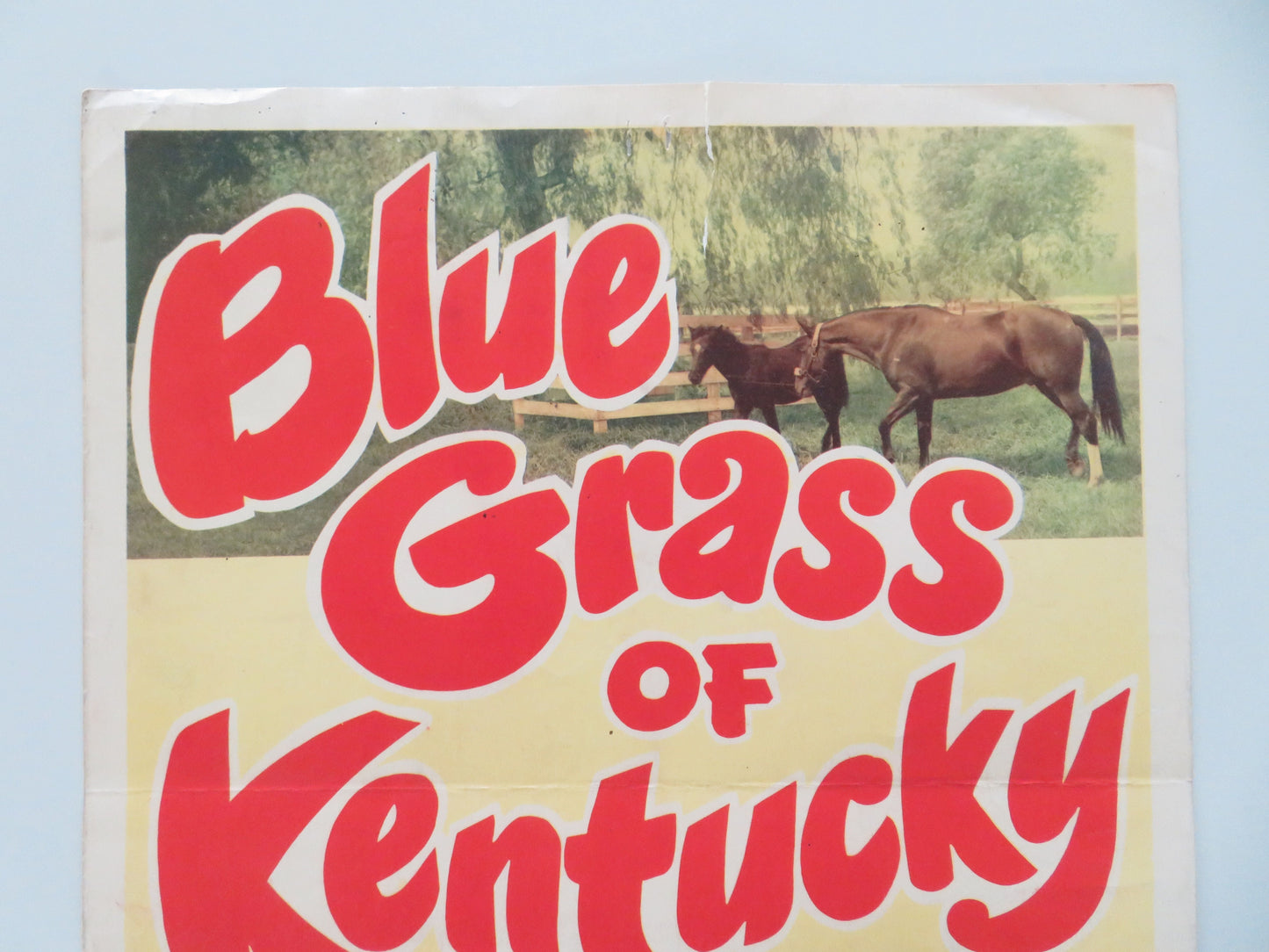 Blue Grass of Kentucky US Insert Poster Bill Williams Jane Nigh 1950 Movie posters