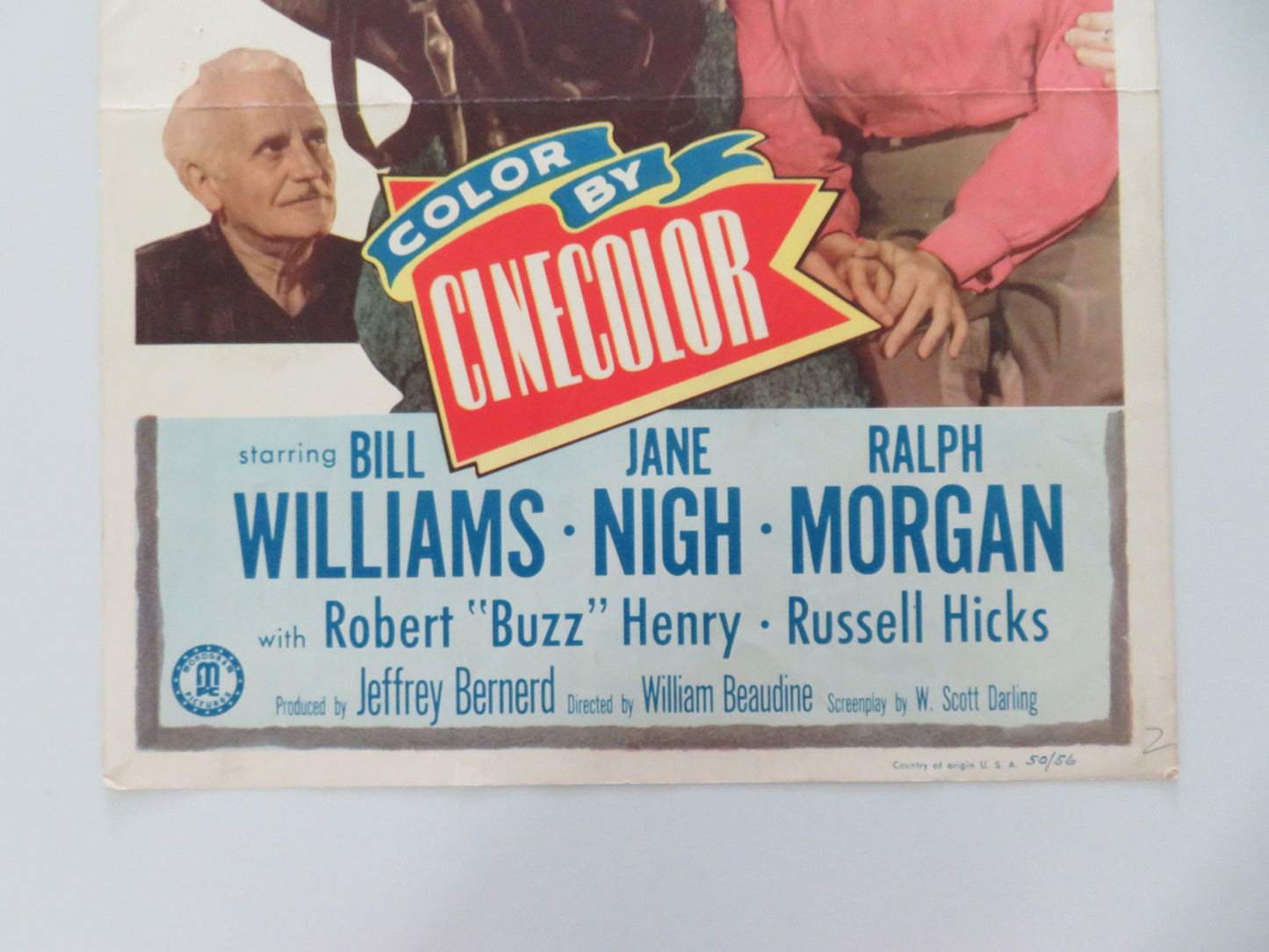 Blue Grass of Kentucky US Insert Poster Bill Williams Jane Nigh 1950 Movie posters