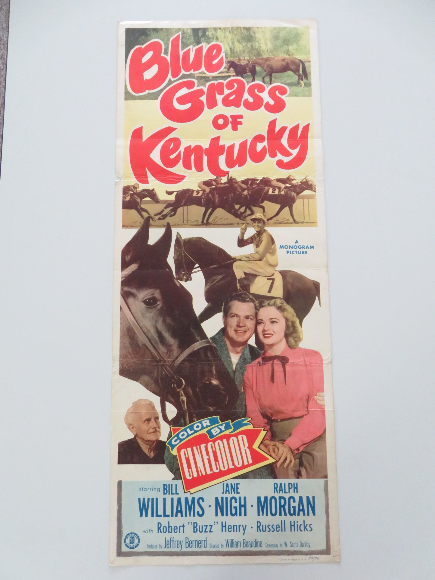 Blue Grass of Kentucky US Insert Poster Bill Williams Jane Nigh 1950 Movie posters