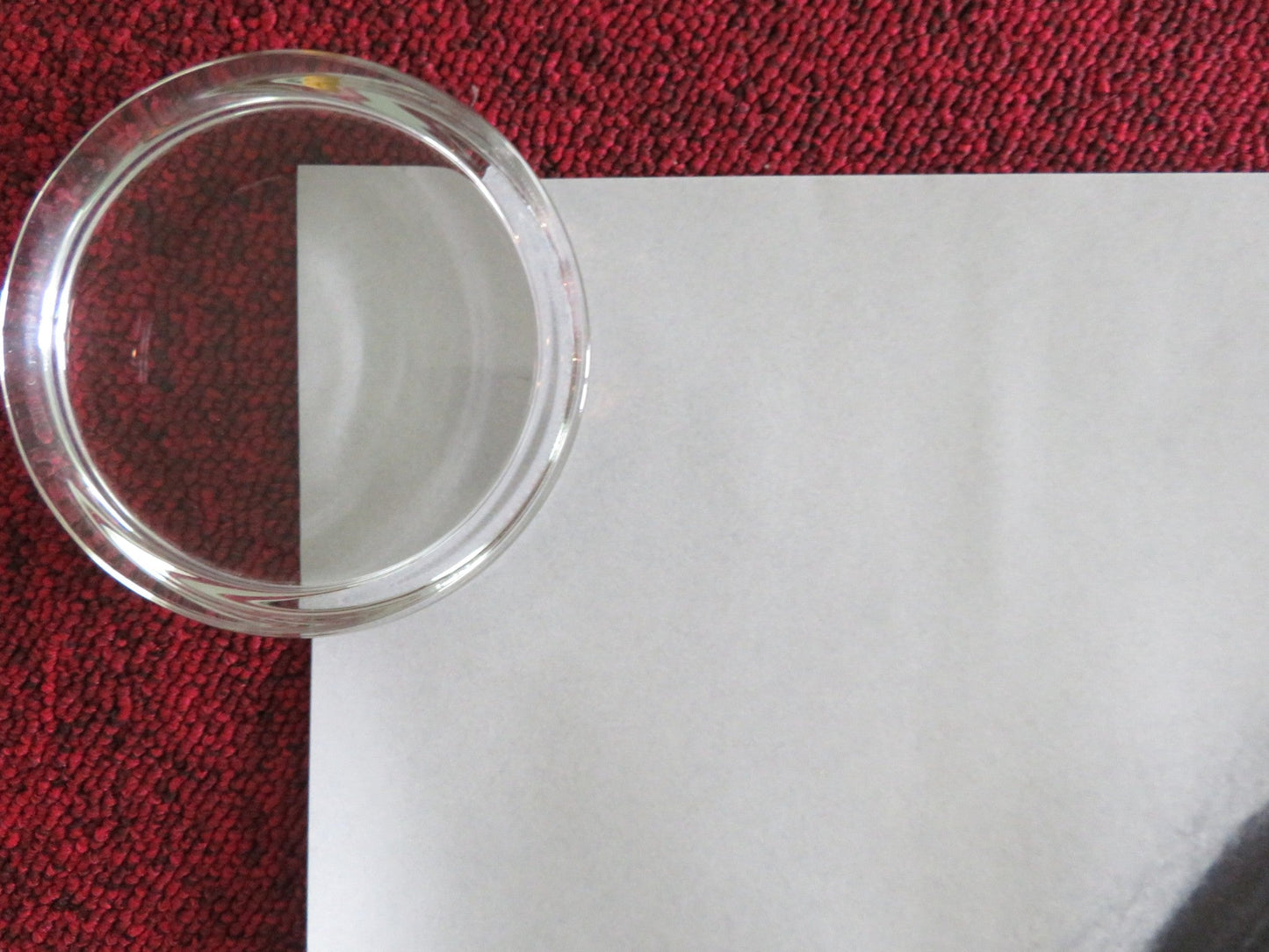 Blue Road: The Edna O'brien Story UK QUAD ROLLED POSTER JESSIE BUCKLEY 2024 Movie posters