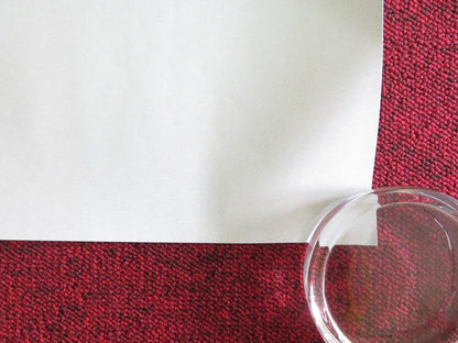 Blue Road: The Edna O'brien Story UK QUAD ROLLED POSTER JESSIE BUCKLEY 2024 Movie posters