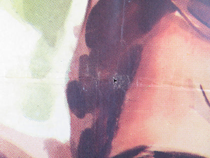 BODA EN IMMENHOF SPANISH POSTER ANGELIKA MEISSNER HEIDI BRUHL 1957 Rendezvous Cinema Movie posters