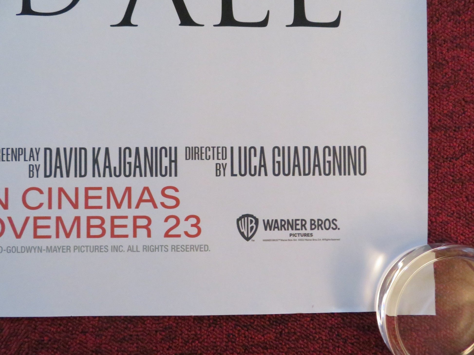 BONES AND ALL UK QUAD ROLLED POSTER TAYLOR RUSSELL TIMOTHEE CHALAMET 2022 Rendezvous Cinema Movie posters