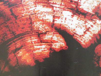 BOOK OF SHADOWS: BLAIR WITCH 2 UK QUAD ROLLED POSTER KURT LODER SCARBOROUGH 2000 Rendezvous Cinema Movie posters