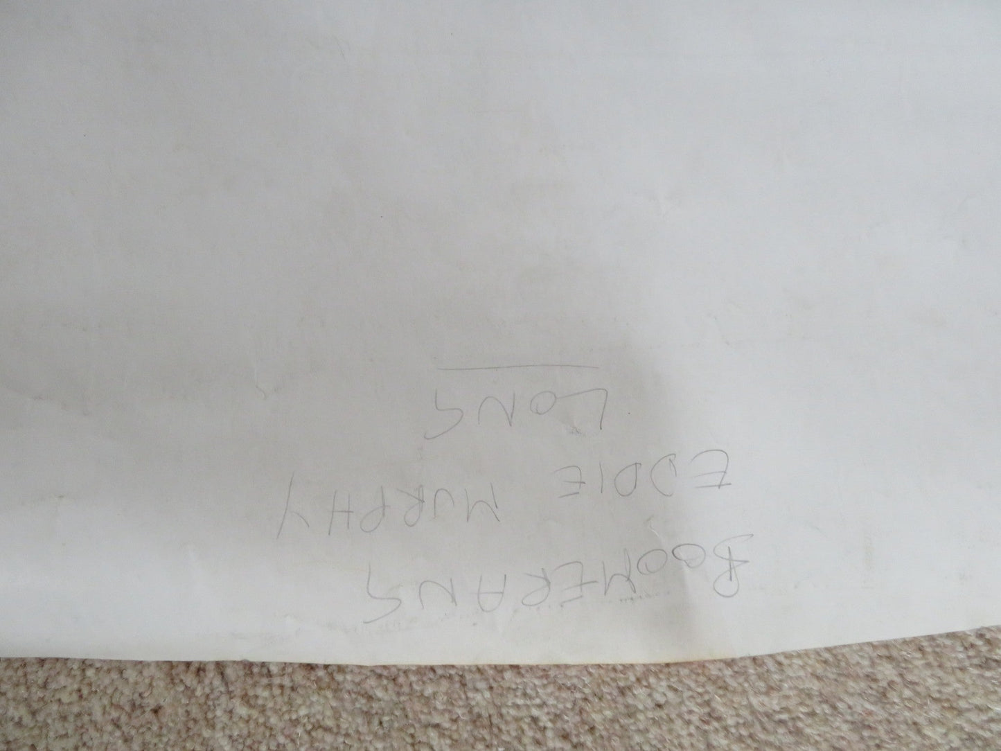 BOOMERANG DOOR PANEL POSTER ROLLED EDDIE MURPHY HALLE BERRY 1992 Rendezvous Cinema Movie posters