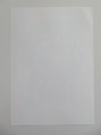 BOY KILLS WORLD JAPANESE CHIRASHI (B5) POSTER BILL SKARSGARD JESSICA ROTHE 2023 Movie posters