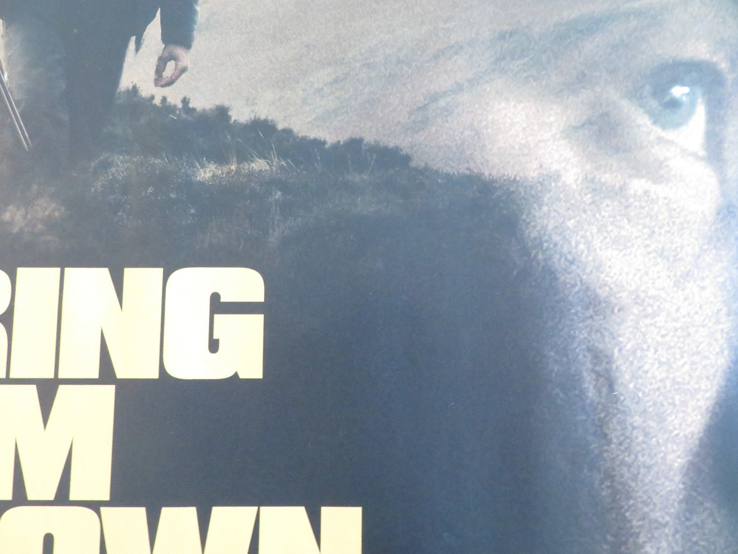 BRING THEM DOWN UK QUAD ROLLED POSTER BARRY KEOGHAN CHRISTOPHER ABBOTT 2024 Rendezvous Cinema Movie posters