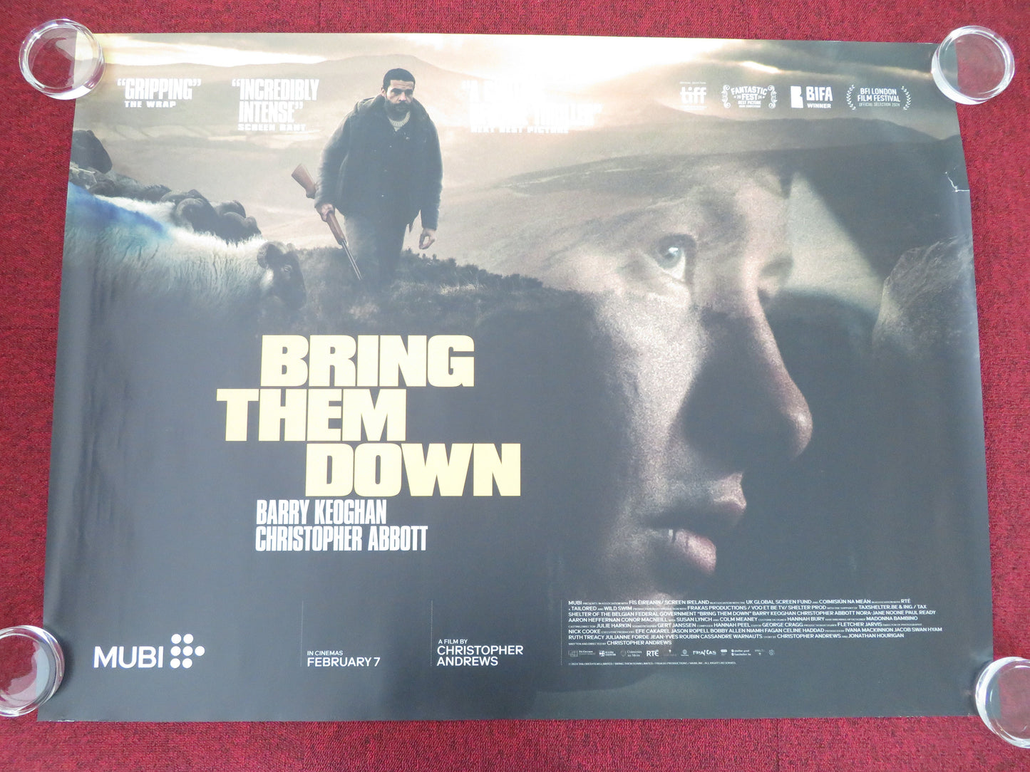 Bring Them Down UK Quad Rolled Poster Barry Keoghan Colm Meaney 2024 Movie posters