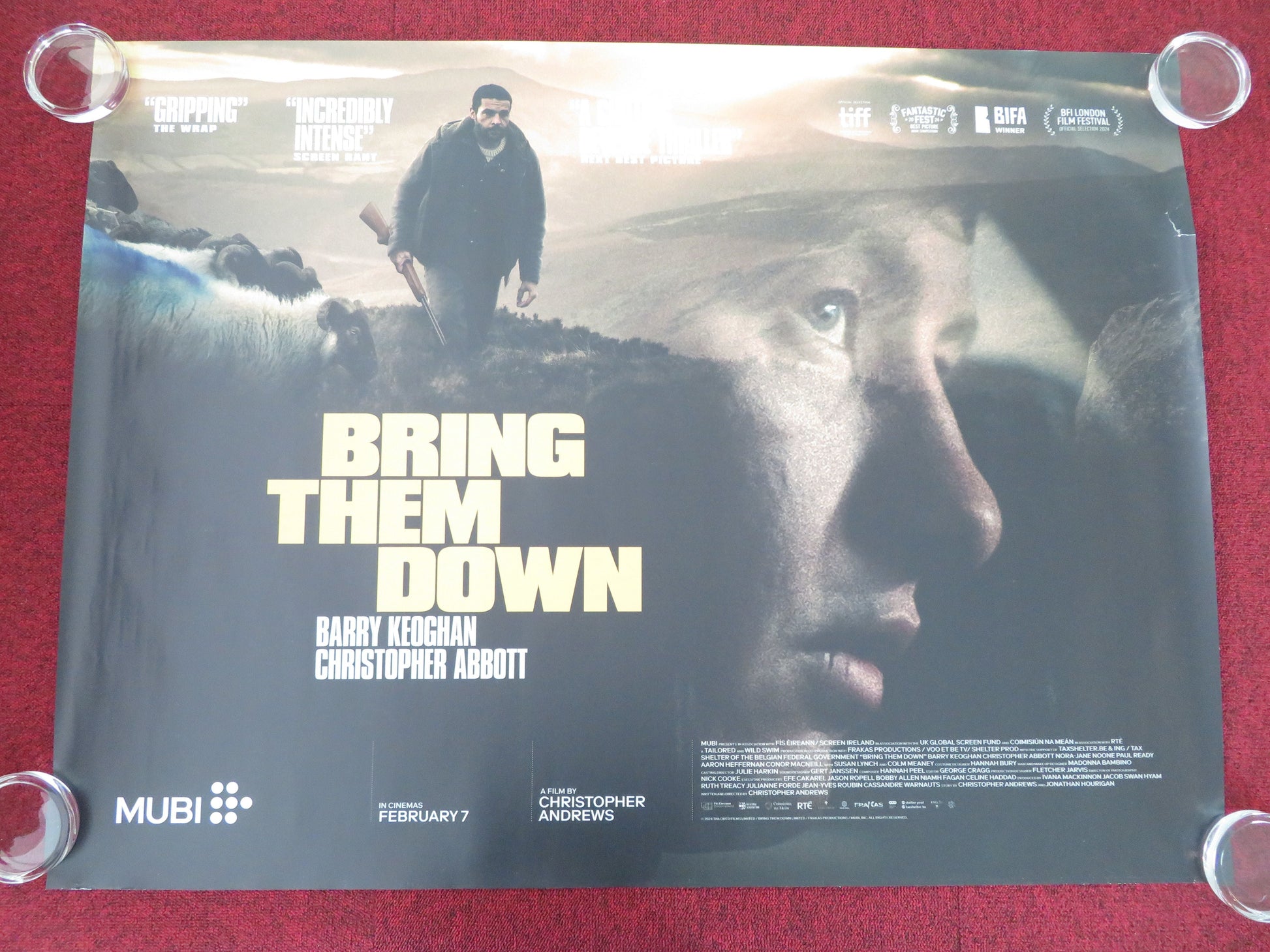 Bring Them Down UK Quad Rolled Poster Barry Keoghan Colm Meaney 2024 Movie posters