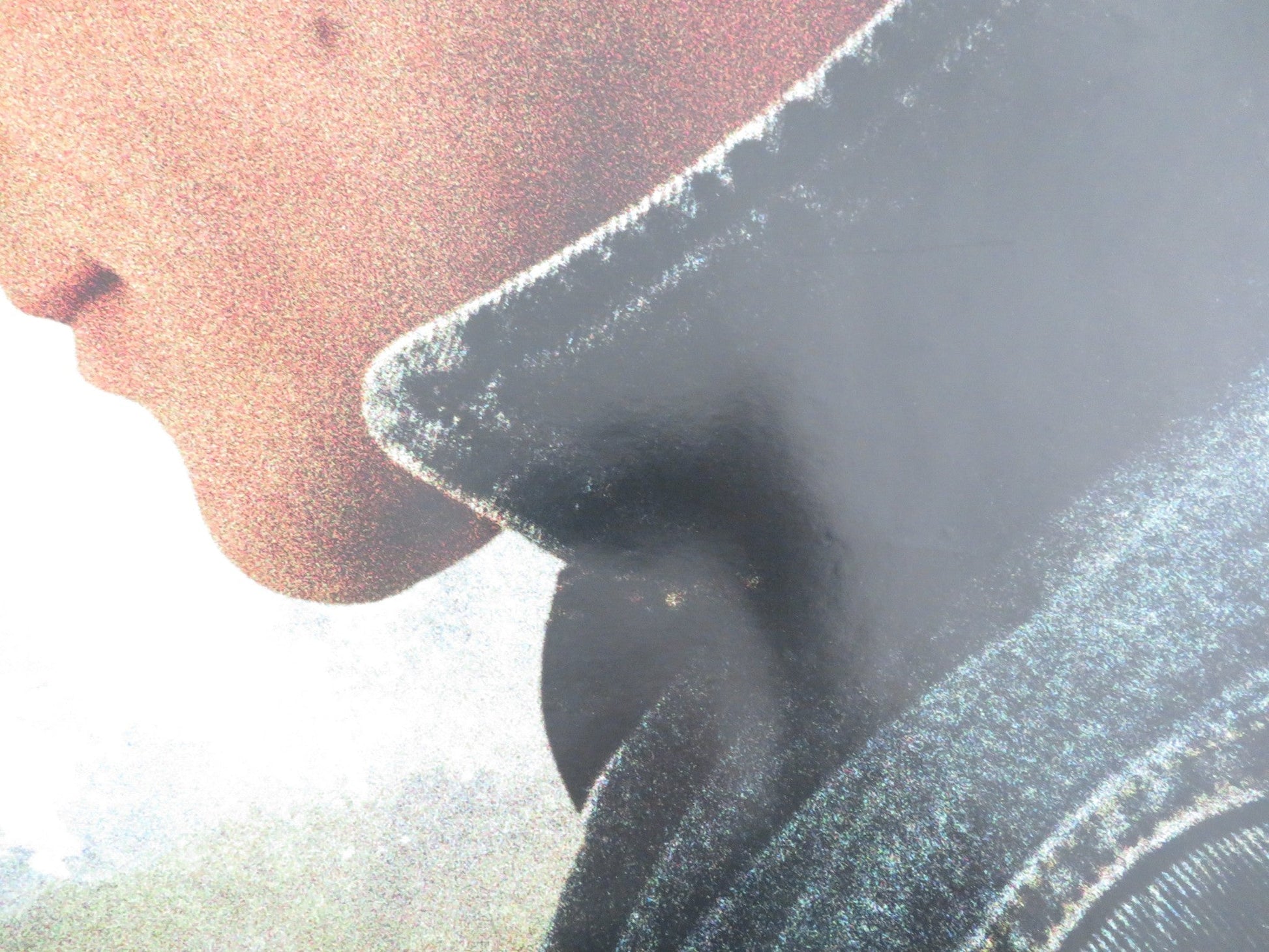 BROKEBACK MOUNTAIN - B UK QUAD ROLLED POSTER HEATH LEDGE JAKE GYLLENHAAL 2005 Movie posters