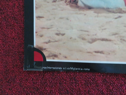 BRUCE LEE AND I ITALIAN FOTOBUSTA POSTER BETTY TING PEI DANNY LEE 1976 Rendezvous Cinema Movie posters