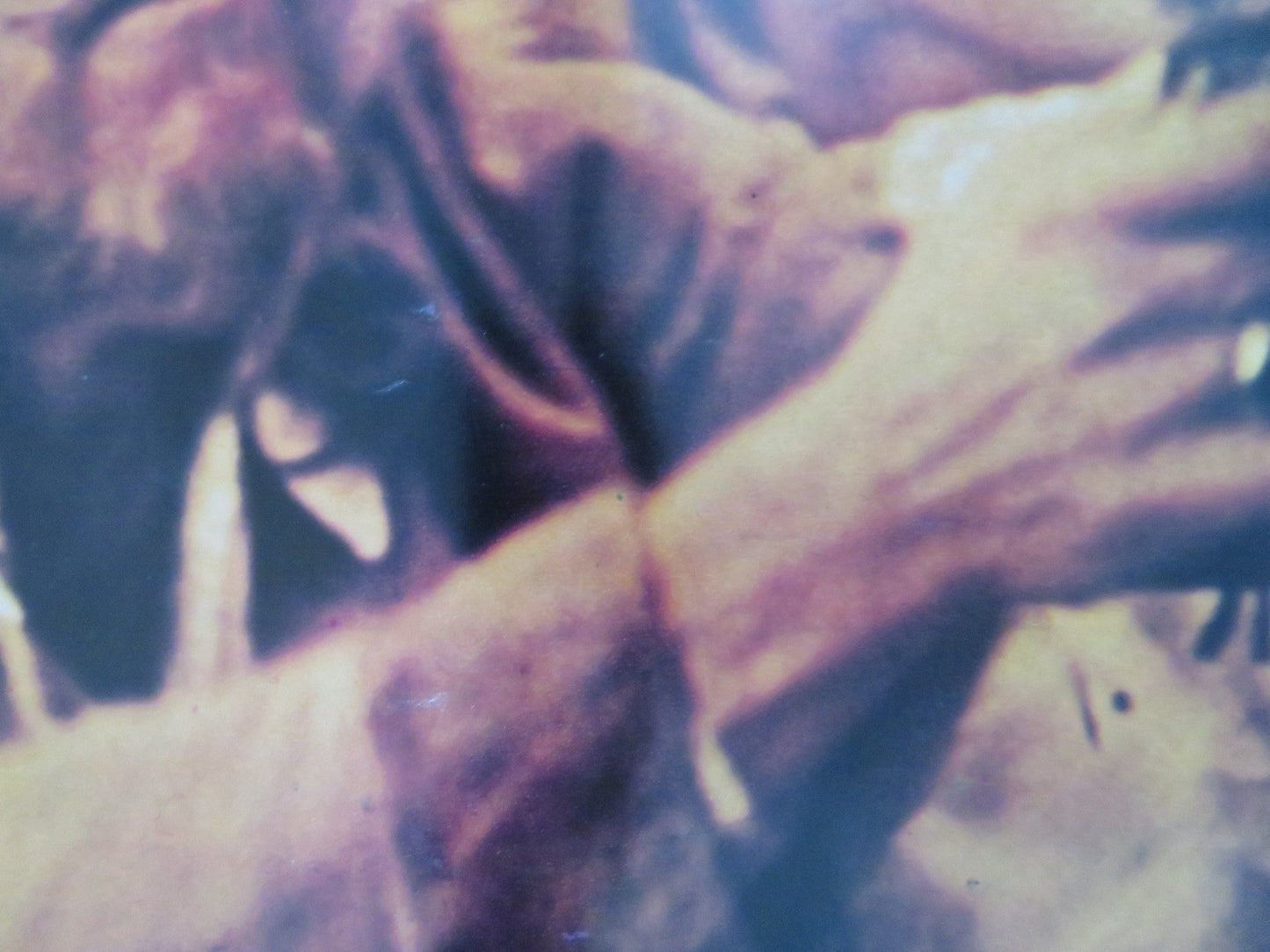 BUFFALO BILL AND THE INDIANS, OR SITTING BULLS.. - H ITALIAN FOTOBUSTA POSTER 1976 Rendezvous Cinema Movie posters