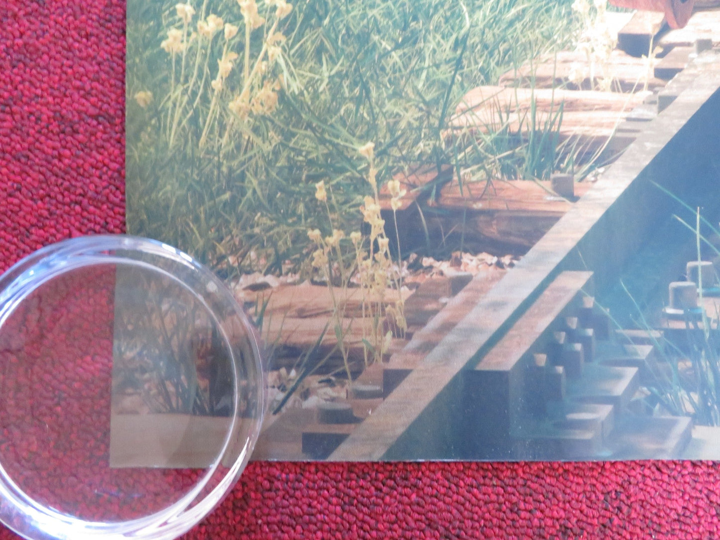 BUFFALO KIDS UK QUAD ROLLED POSTER GEMMA ARTERTON SEAN BEAN 2024 Rendezvous Cinema Movie posters