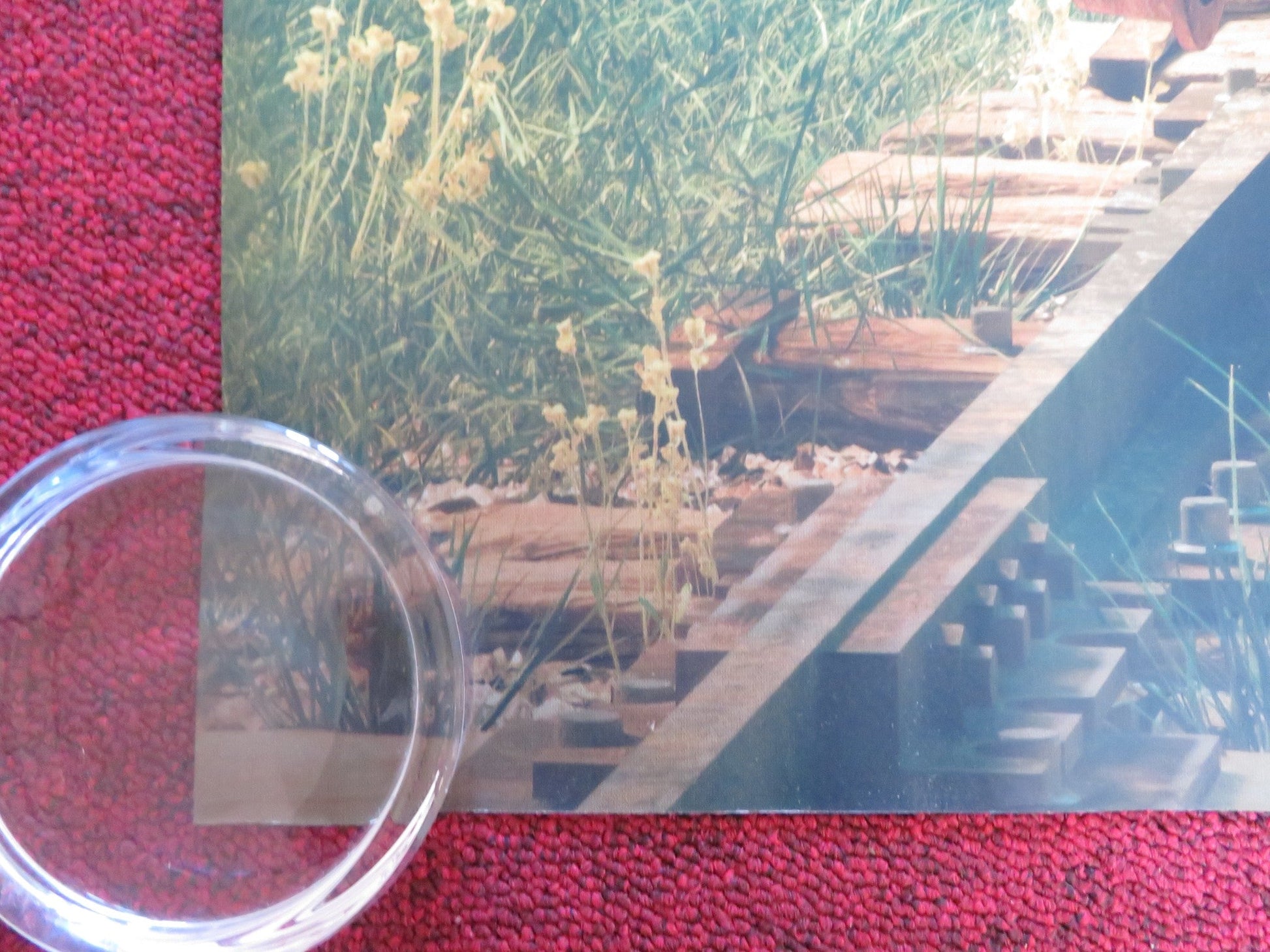 BUFFALO KIDS UK QUAD ROLLED POSTER GEMMA ARTERTON SEAN BEAN 2024 Rendezvous Cinema Movie posters