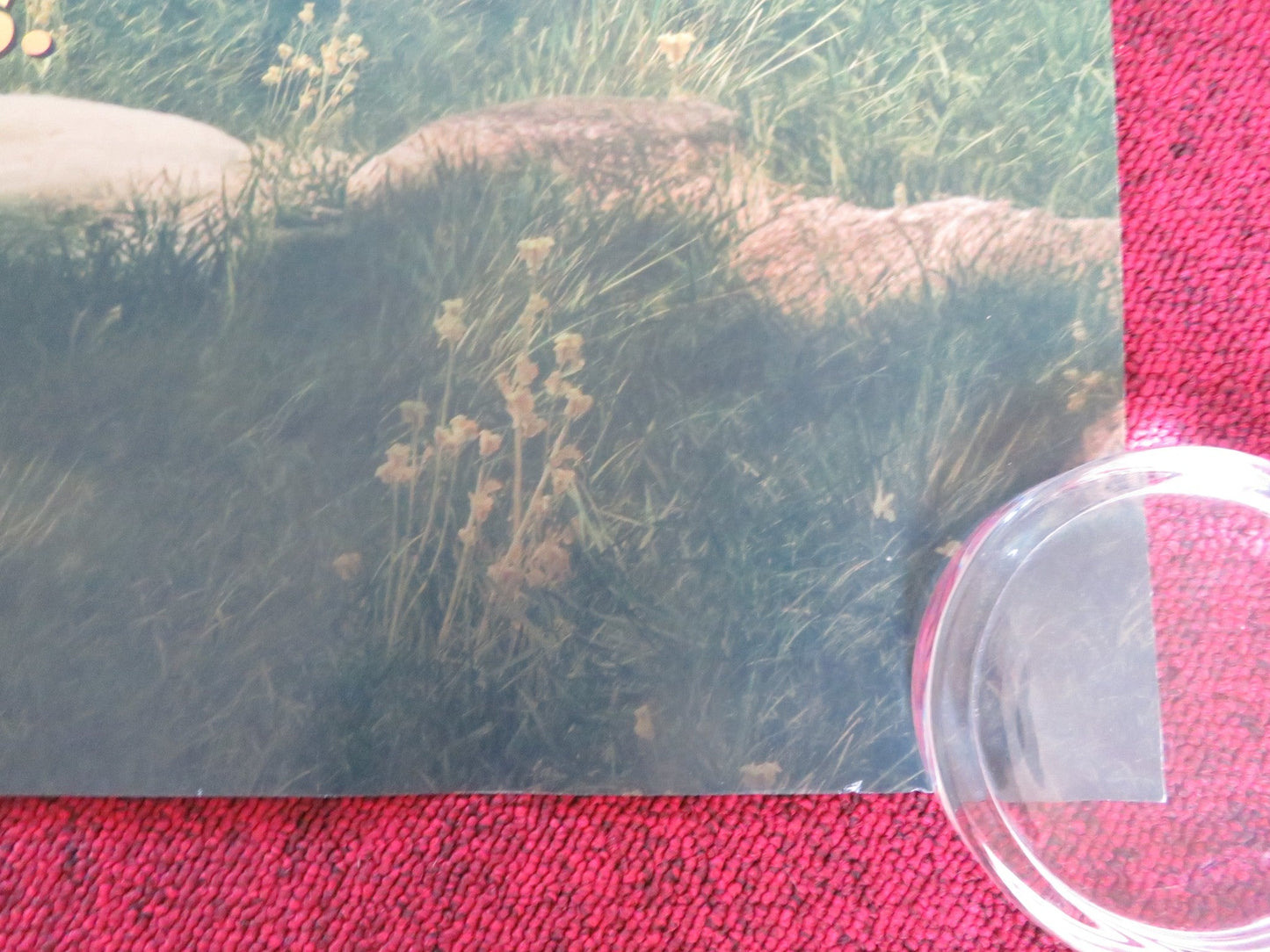 BUFFALO KIDS UK QUAD ROLLED POSTER GEMMA ARTERTON SEAN BEAN 2024 Rendezvous Cinema Movie posters