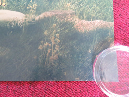 BUFFALO KIDS UK QUAD ROLLED POSTER GEMMA ARTERTON SEAN BEAN 2024 Rendezvous Cinema Movie posters