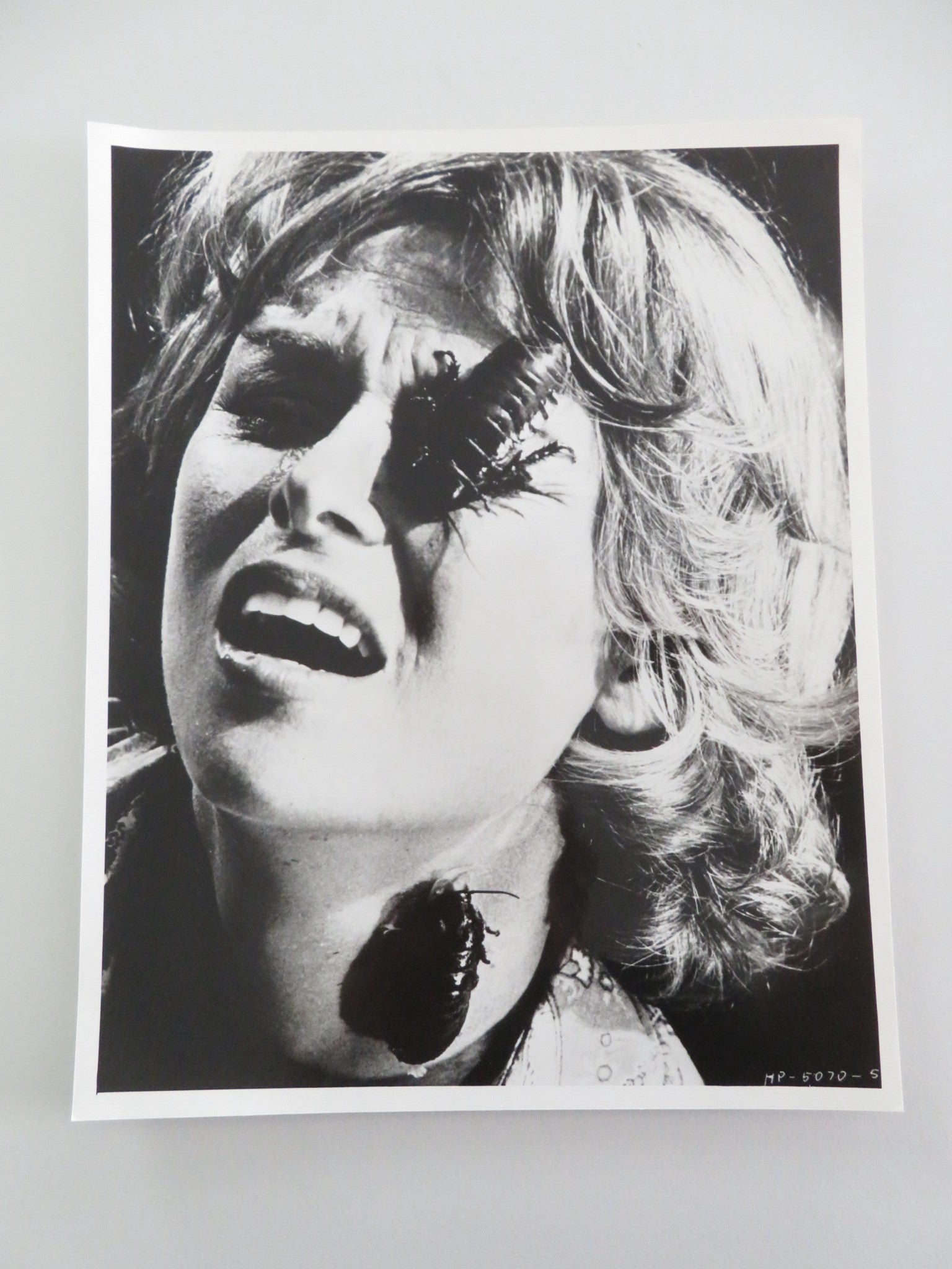 BUG MOVIE STILL PHOTO JOANNA MILES BRADFORD DILLMAN 1975 Movie posters