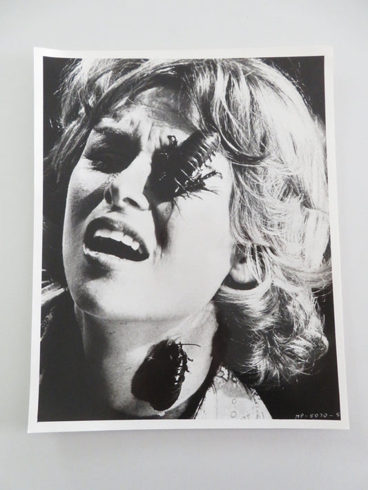 BUG MOVIE STILL PHOTO JOANNA MILES BRADFORD DILLMAN 1975 Movie posters