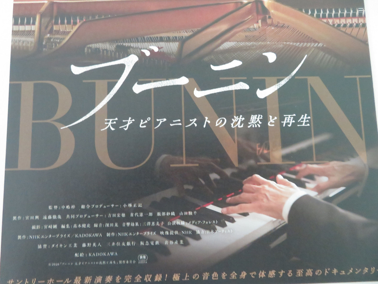 Bunin: The Silence and Rebirth of a Genius Pianist Japanese Chirashi (B5) Poster Movie posters