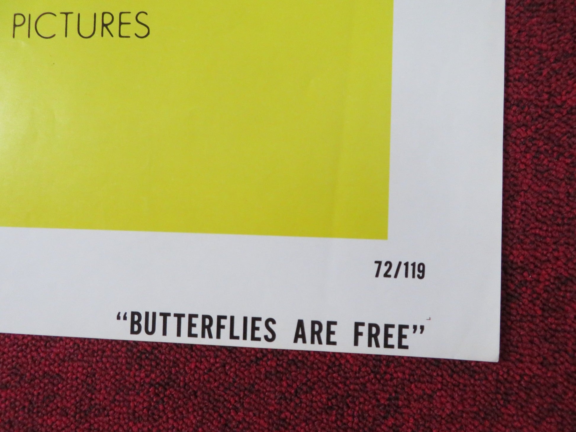 BUTTERFLIES ARE FREE FOLDED US ONE SHEET POSTER GOLDIE HAWN EDWARD ALBERT 1972 Rendezvous Cinema Movie posters