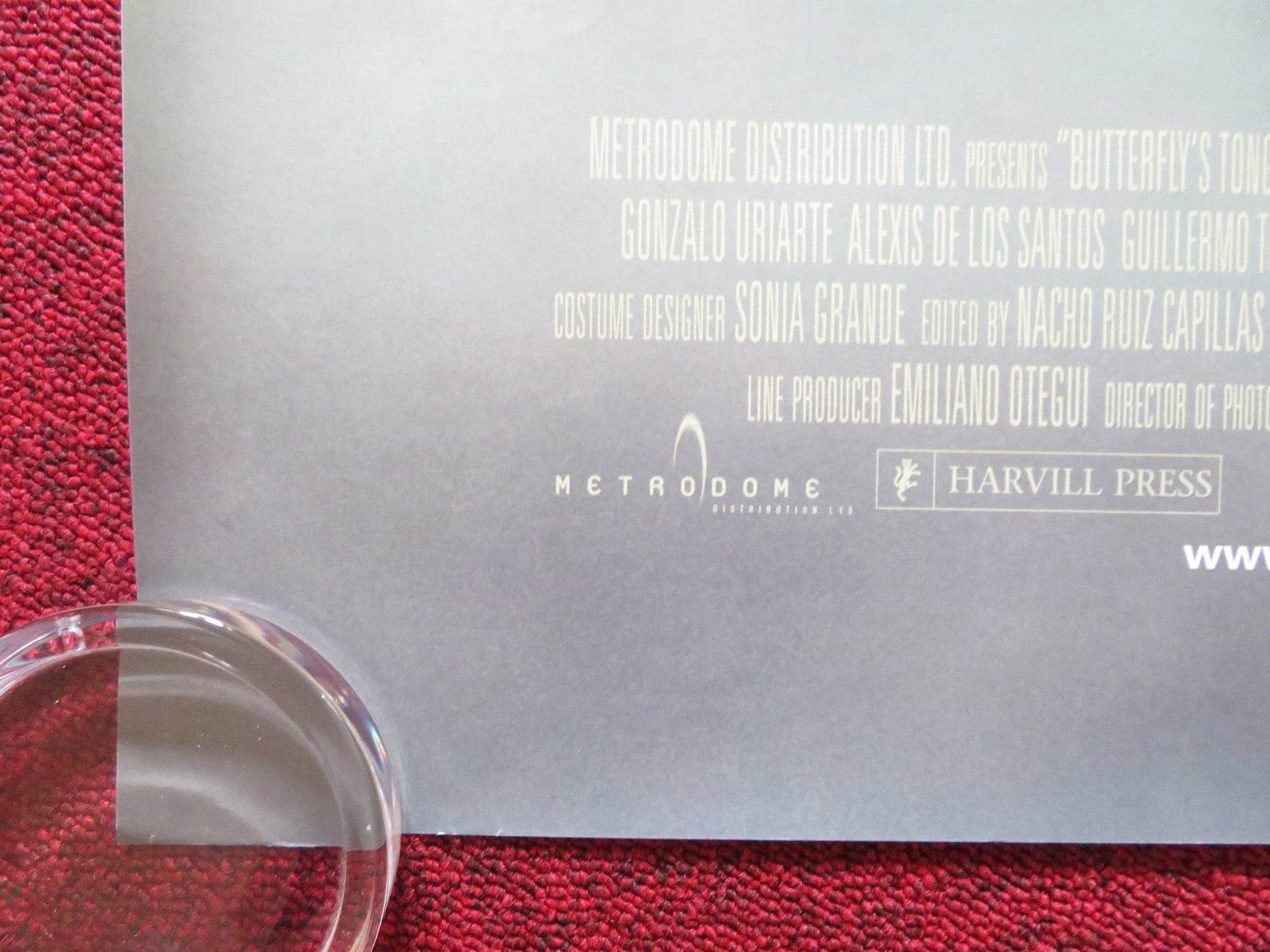 BUTTERFLY'S TONGUE UK QUAD ROLLED POSTER FERNANDO FERNAN GOMEZ M. LOZANO 1999 Rendezvous Cinema Movie posters