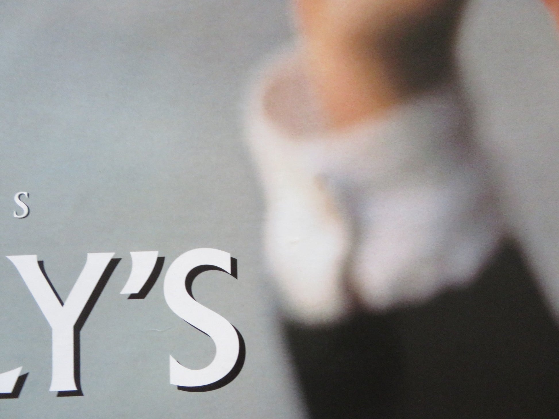 BUTTERFLY'S TONGUE UK QUAD ROLLED POSTER FERNANDO FERNAN GOMEZ M. LOZANO 1999 Rendezvous Cinema Movie posters