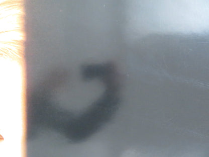 CASE 39 US ONE SHEET ROLLED POSTER RENEE ZELLWEGER IAN MCSHANE 2009 Rendezvous Cinema Movie posters