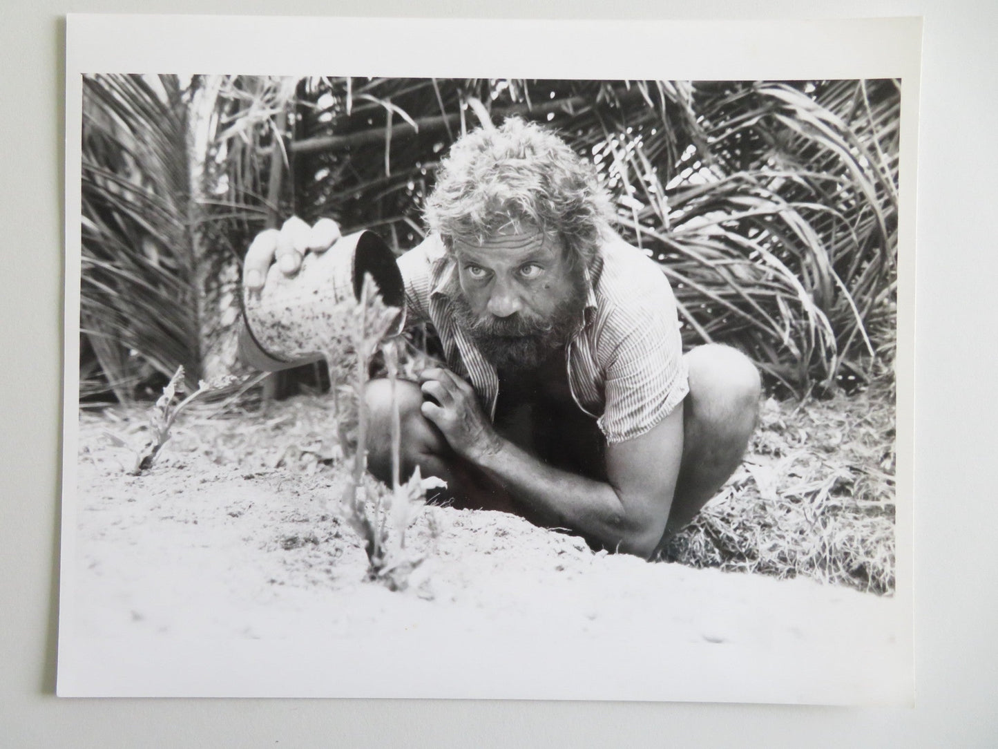 CASTAWAY MOVIE STILL PHOTO LOT OF 9 OLIVER REED AMANDA DONOHOE 1986 - Rendezvous Cinema