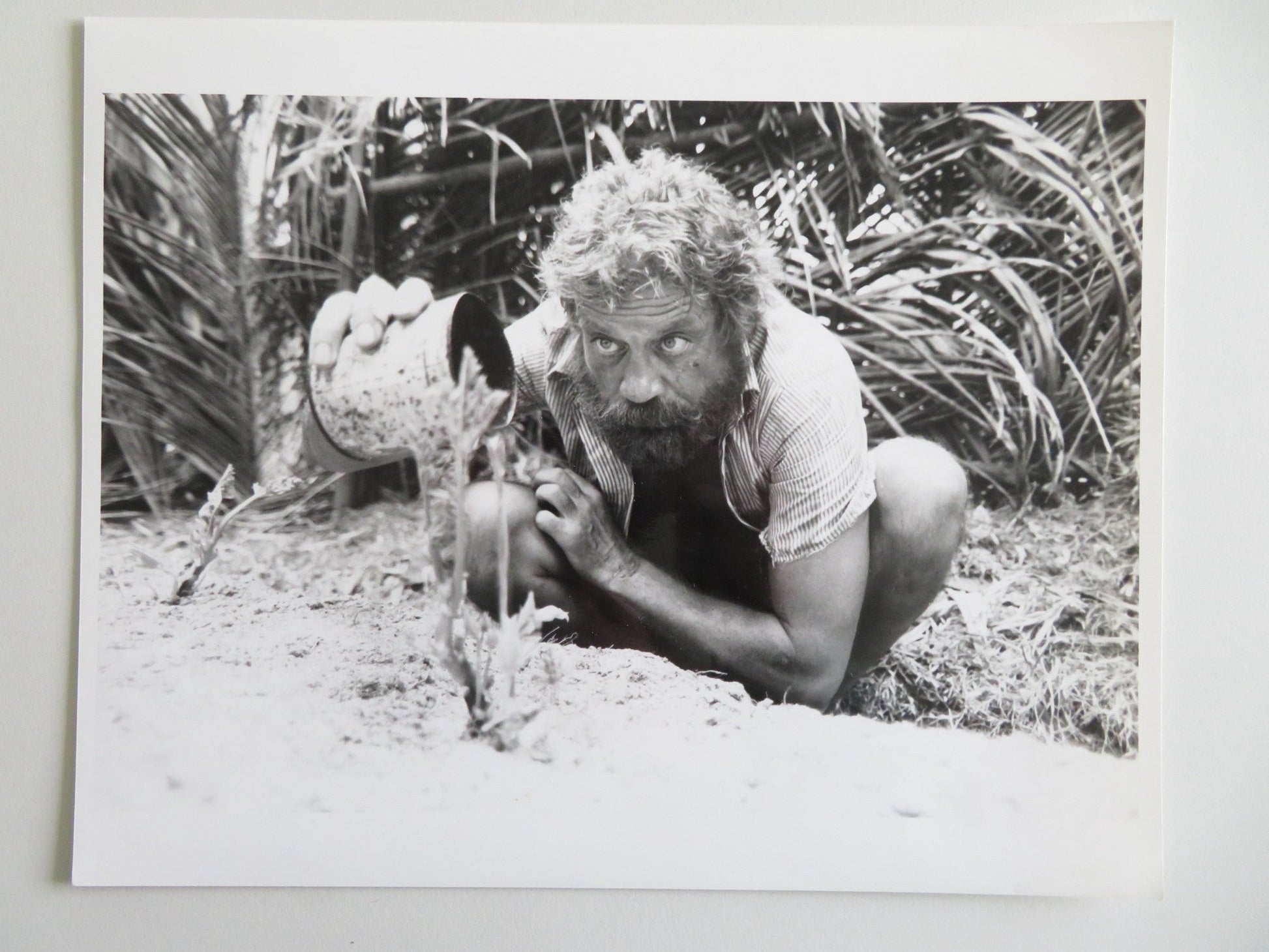 CASTAWAY MOVIE STILL PHOTO LOT OF 9 OLIVER REED AMANDA DONOHOE 1986 - Rendezvous Cinema