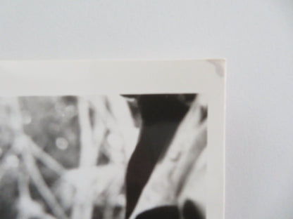 CASUALTIES OF WAR MOVIE STILL PHOTO MICHAEL J. FOX SEAN PENN 1989 Movie posters