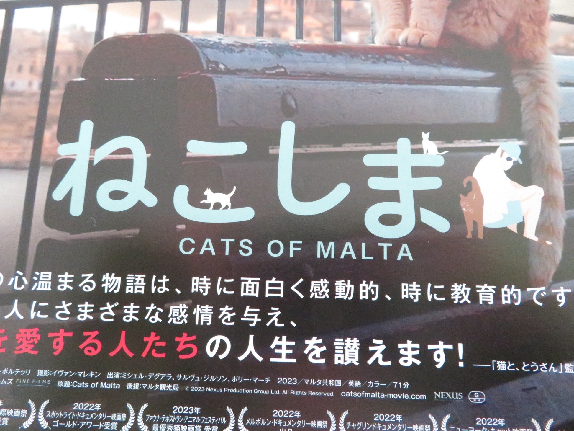 CATS OF MALTA JAPANESE CHIRASHI (B5) POSTER KARMEN COLERIO 2023 Rendezvous Cinema Movie posters
