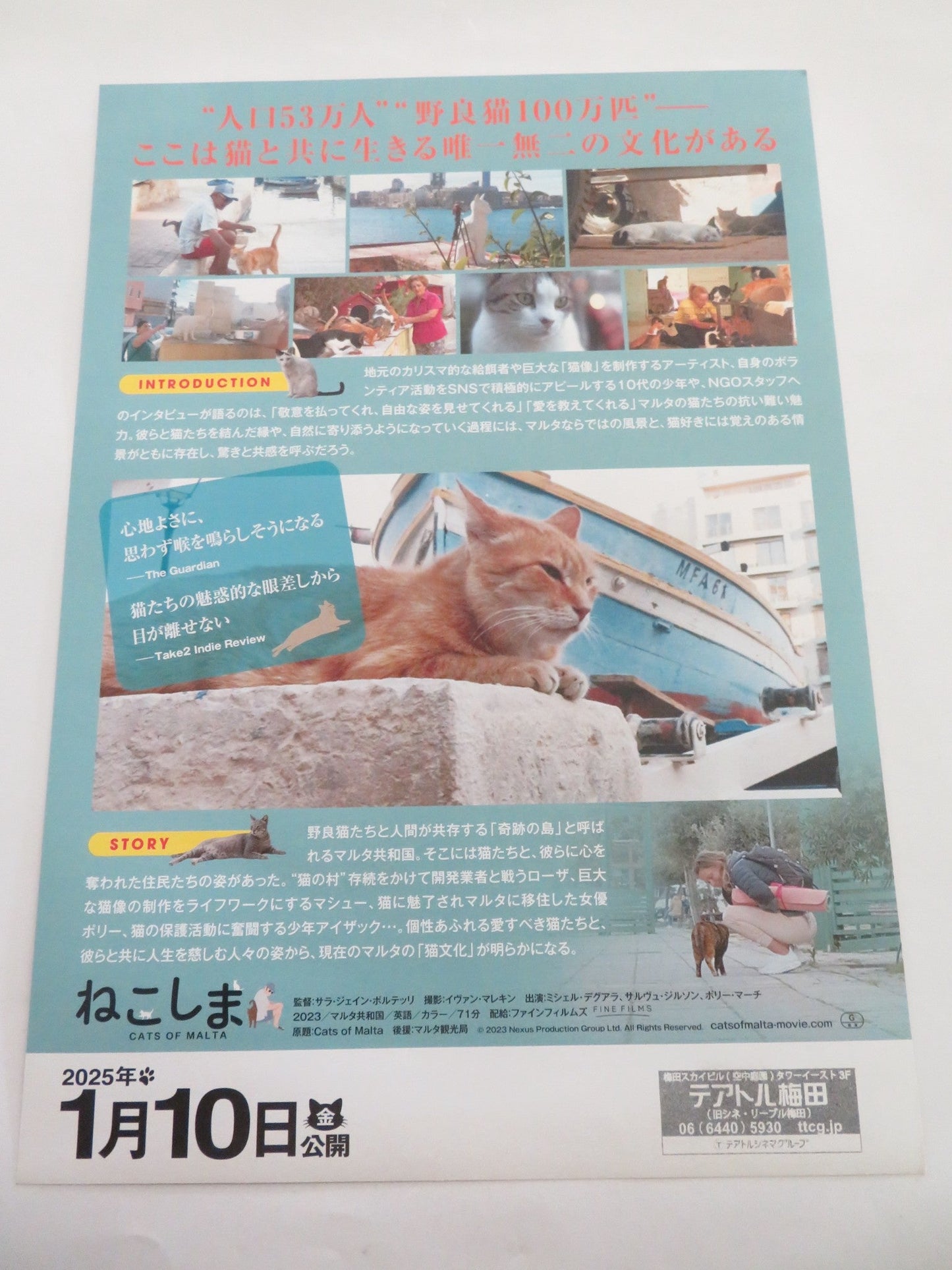 CATS OF MALTA JAPANESE CHIRASHI (B5) POSTER KARMEN COLERIO 2023 Rendezvous Cinema Movie posters