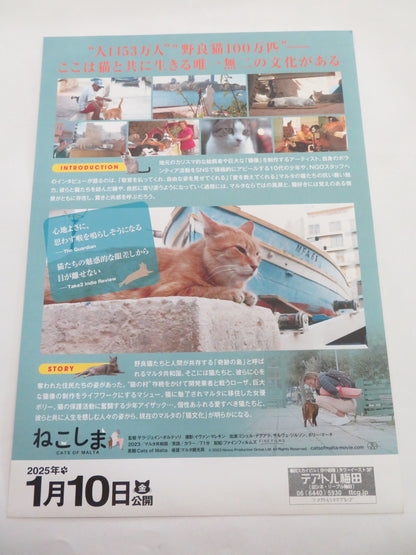 CATS OF MALTA JAPANESE CHIRASHI (B5) POSTER KARMEN COLERIO 2023 Rendezvous Cinema Movie posters