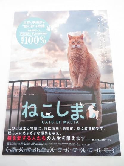 CATS OF MALTA JAPANESE CHIRASHI (B5) POSTER KARMEN COLERIO 2023 Rendezvous Cinema Movie posters
