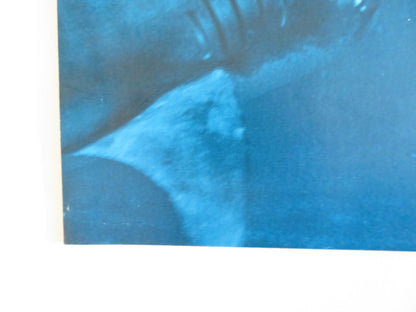 CAVE OF THE SHARKS - A ITALIAN FOTOBUSTA POSTER ANDRES GARCIA JANET AGREN 1978 Rendezvous Cinema Movie posters