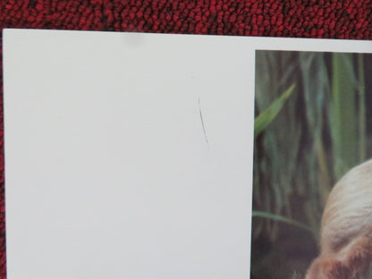 CAVEMAN US LOBBY CARD FULL SET RINGO STARR DENNIS QUAID 1981 Movie posters