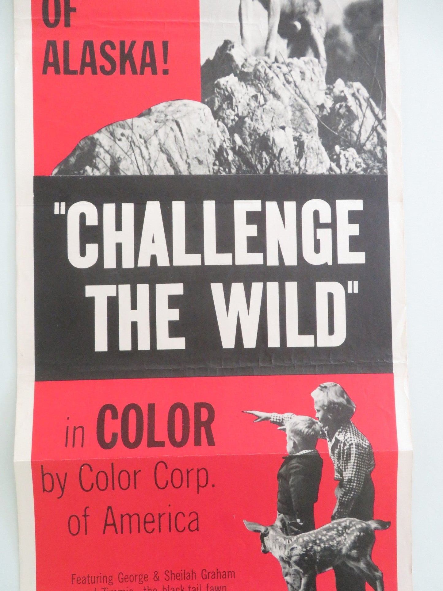 Challenge the Wild US Insert Poster George Graham Sheilah Graham 1954 Movie posters