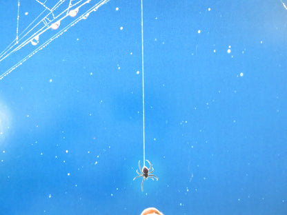 CHARLOTTE'S WEB - C US ONE SHEET ROLLED POSTER JULIA ROBERTS DAKOTA FANNING 2006 Rendezvous Cinema Movie posters