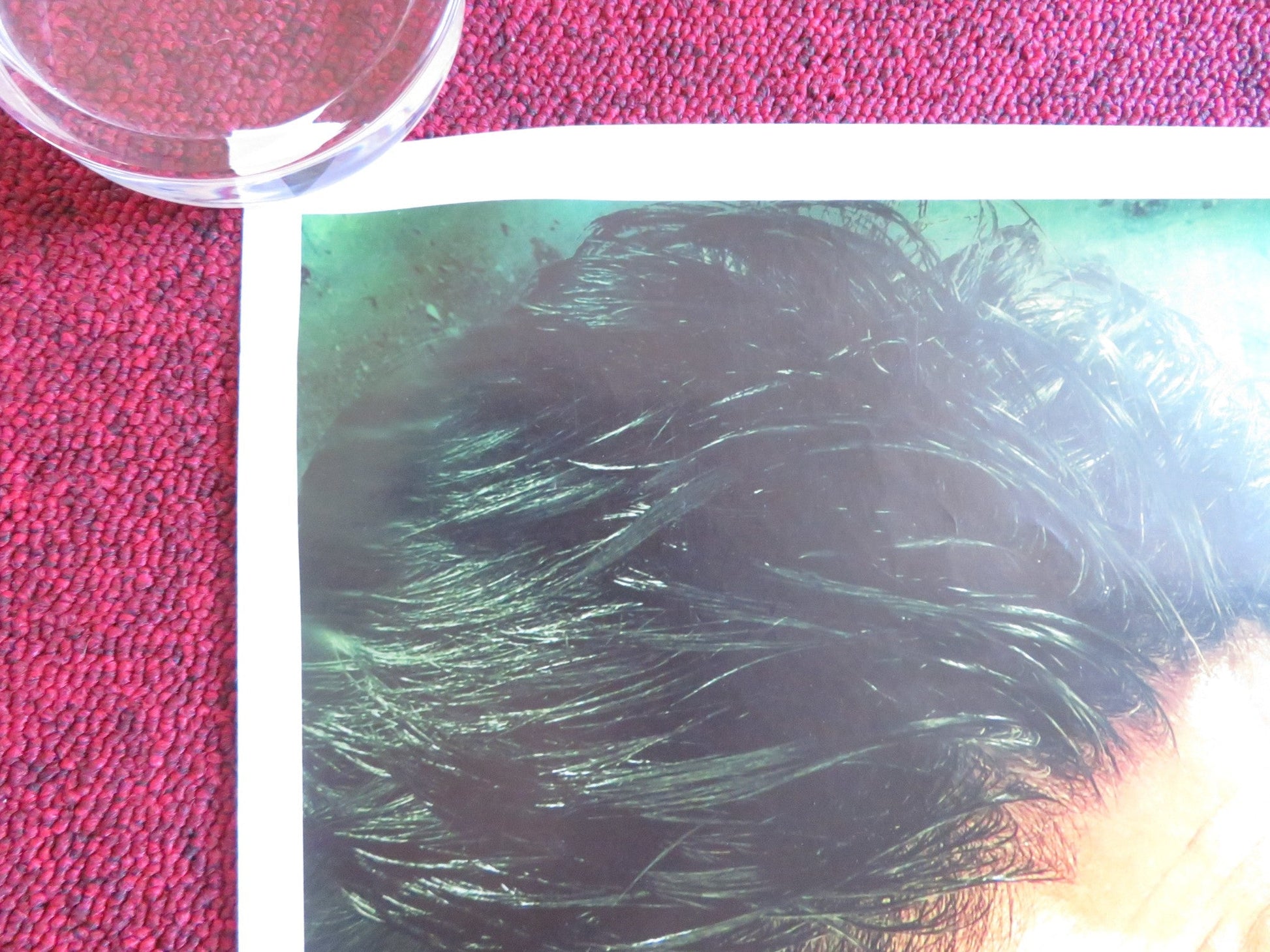 CHENNAI EXPRESS POSTER ROLLED DEEPIKA PADUKONE SHAH RUKH KHAN 2013 Rendezvous Cinema Movie posters