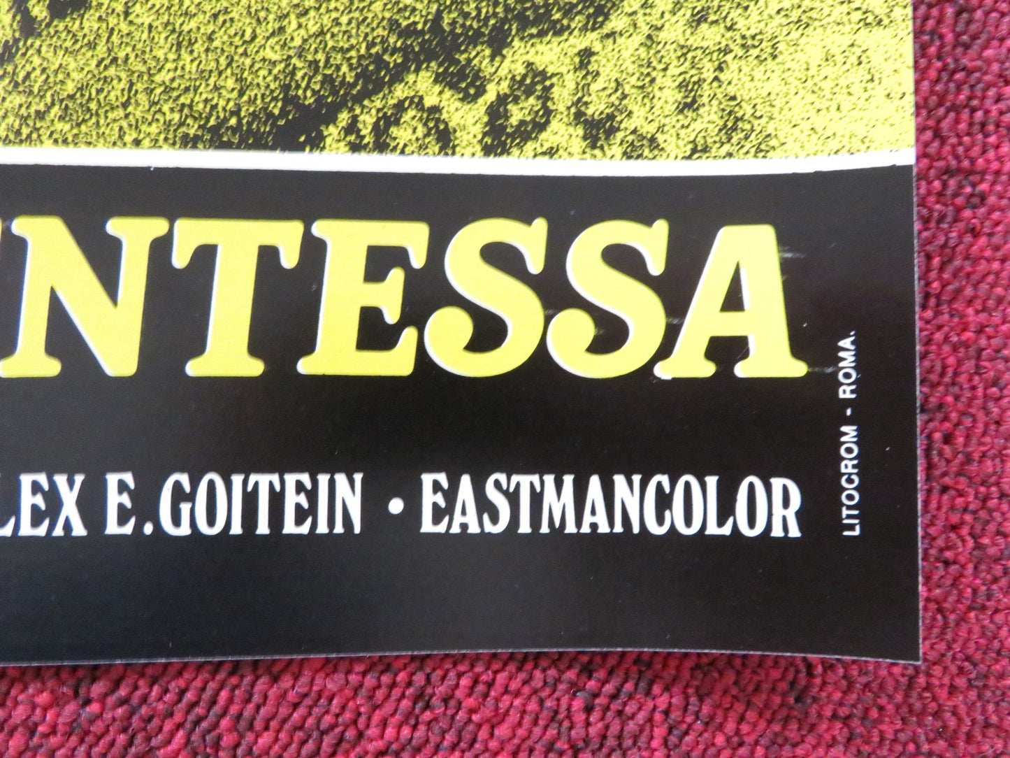 CHERRY HILL HIGH - C ITALIAN FOTOBUSTA POSTER NINA CARSON CARRIE OLSON 1977 Rendezvous Cinema Movie posters