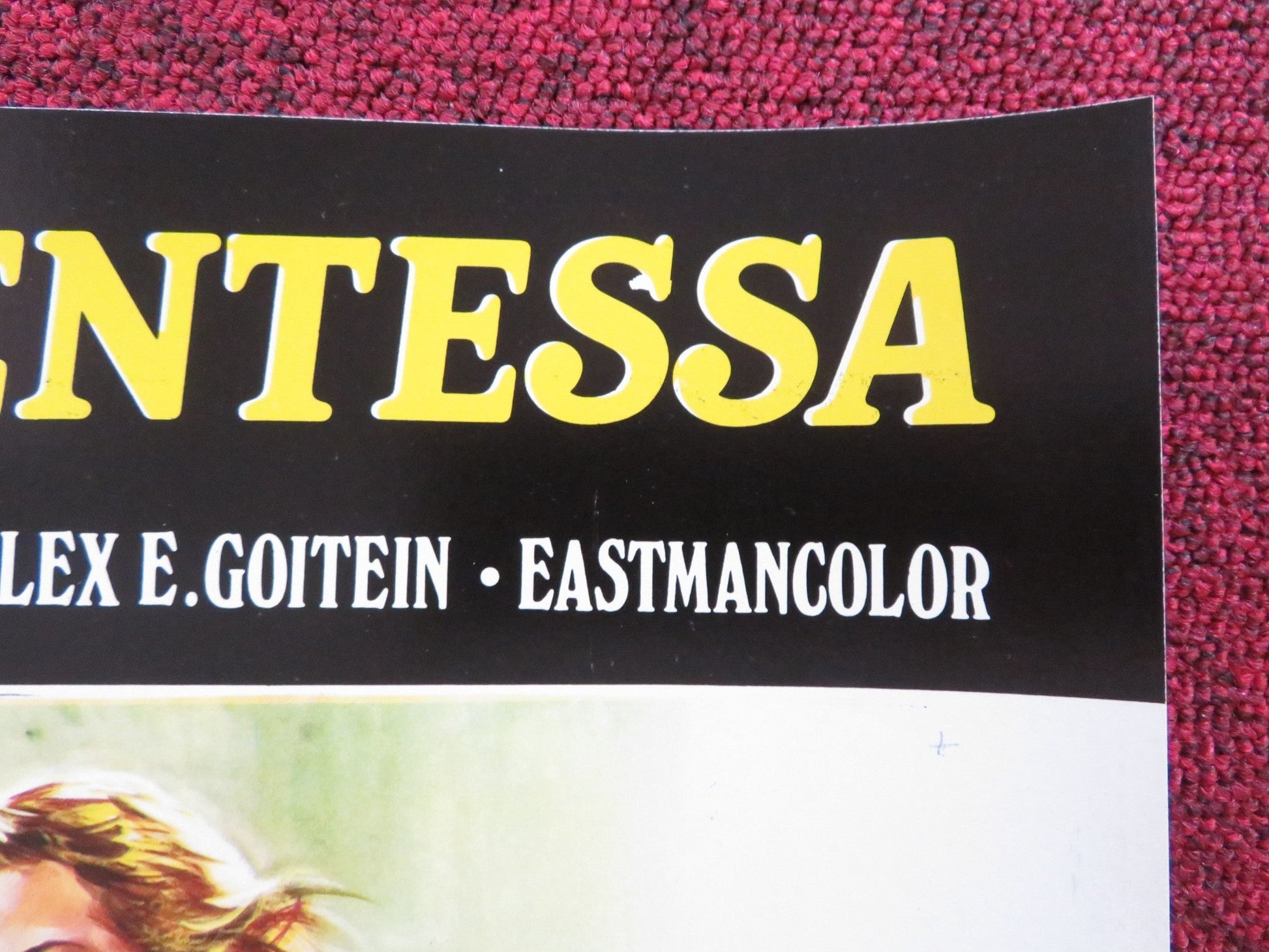 CHERRY HILL HIGH - F ITALIAN FOTOBUSTA POSTER NINA CARSON CARRIE OLSON 1977 Rendezvous Cinema Movie posters