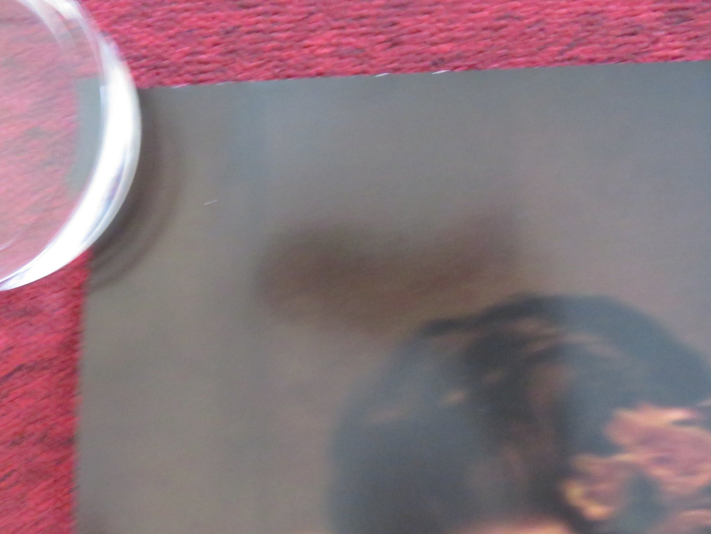 CHEVALIER UK QUAD ROLLED POSTER KELVIN HARRISON JR. SAMARA WEAVING 2022 Rendezvous Cinema Movie posters