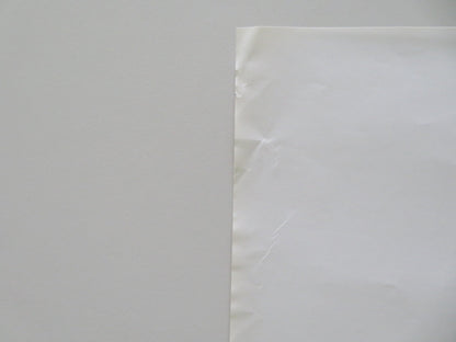 Chicken Run ITALIAN LOCANDINA POSTER Mel Gibson Phil Daniels 2000 Movie posters