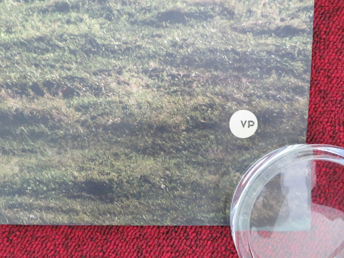 CHICKEN TOWN UK QUAD ROLLED POSTER RAMY BEN FREDJ HUGO CARTER 2025 Movie posters