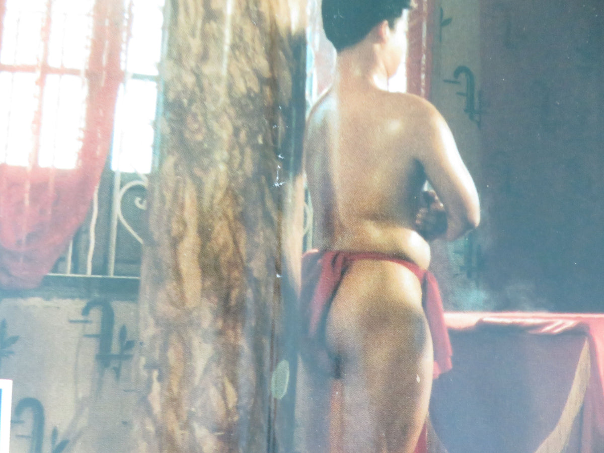 Chinese Kamasutra - A Italian Fotobusta Poster Gamboa Emerald 1994 Movie posters